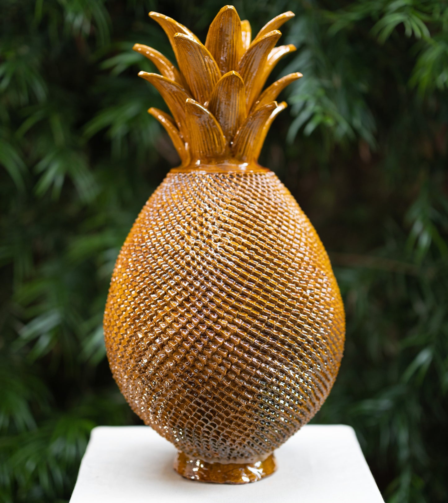 ANANA BARRILITO